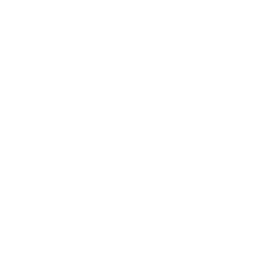 connector-Brevo (white)