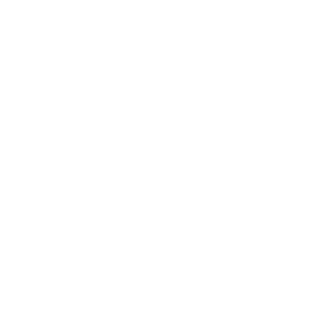 connector-Bria (white)