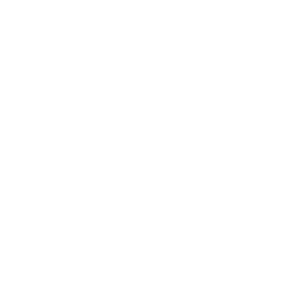 connector-Pinecone (white)