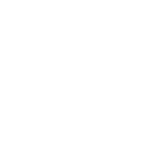 connector-Salesforce (white)