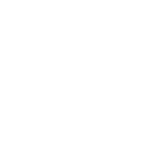 connector-Supabase (white)