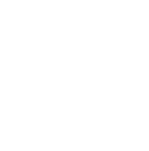 connector-Synapse (white)