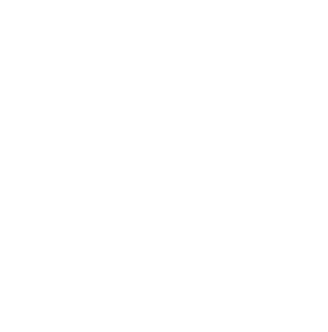 connector-Website Publisher (white)
