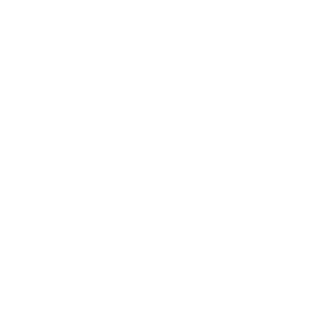 connector-Zapier (white)